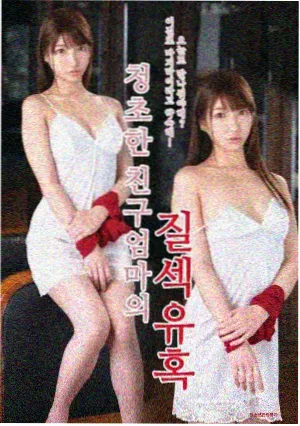 雾港十七号小说封面