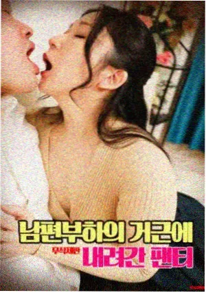 观星者手记小说封面